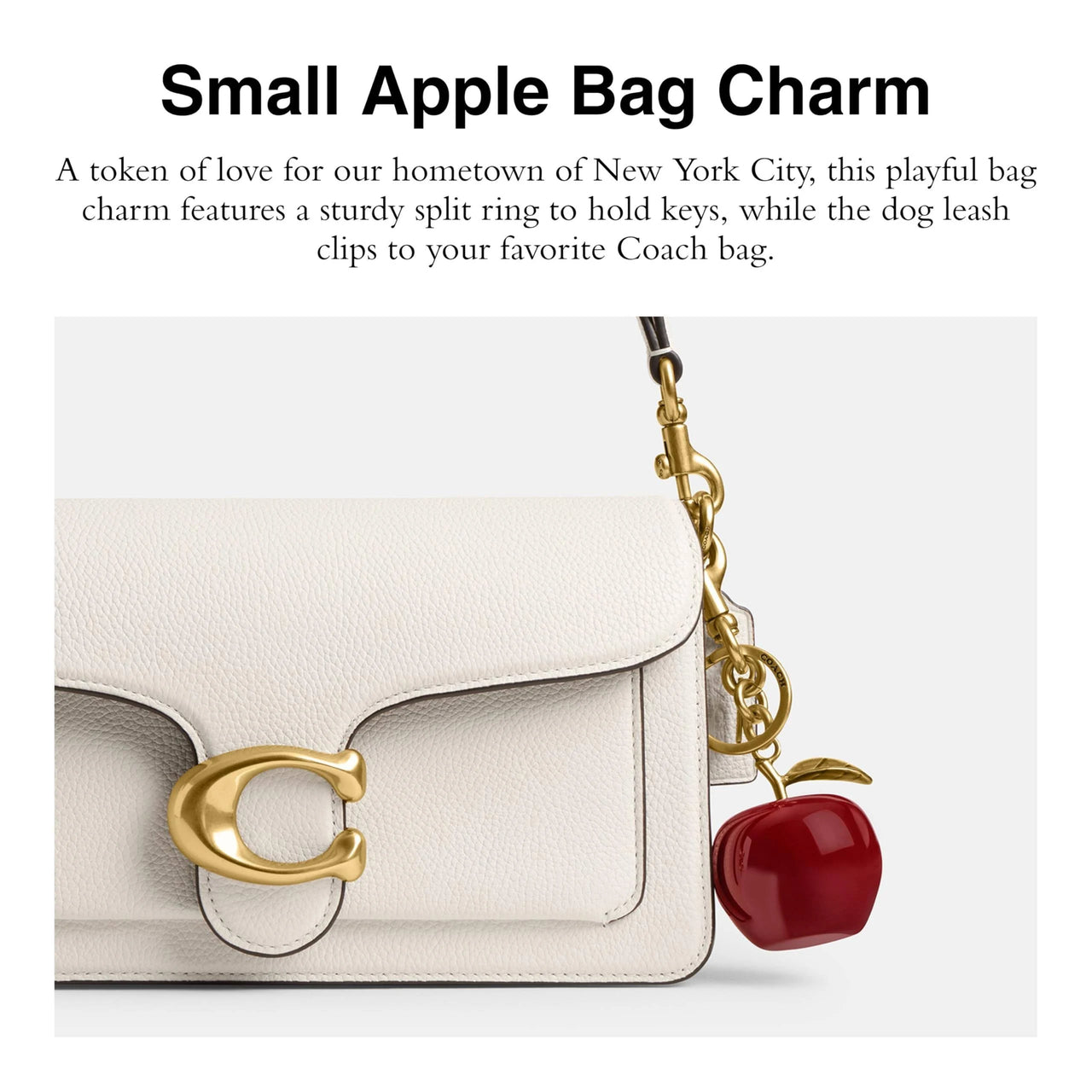 Coach Small Apple Bag Charm - Brass/Multi Keychain Accessory For Women