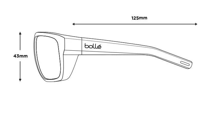 Bolle Vulture Sunglasses Matte Black