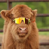 Thumbnail for Pit Viper The 1993 Polarized Sunglasses Double Wide