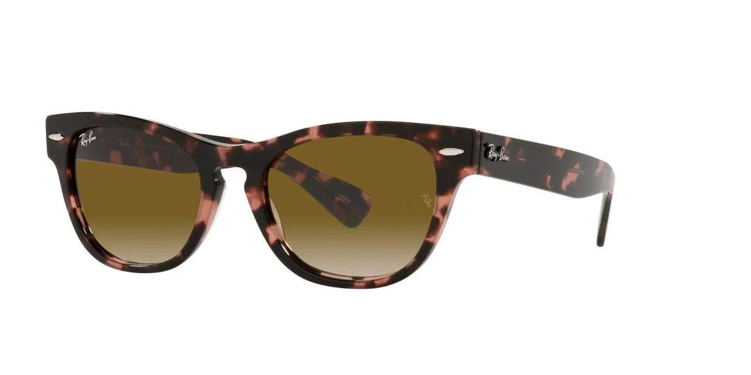 Sunglasses Ray-ban Laramie Rb2201 13323f