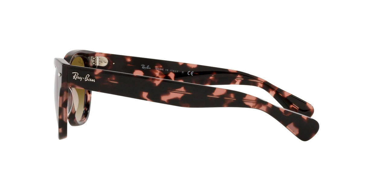 Sunglasses Ray-ban Laramie Rb2201 13323f
