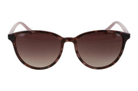 Thumbnail for Ted Baker Tierney Sunglasses