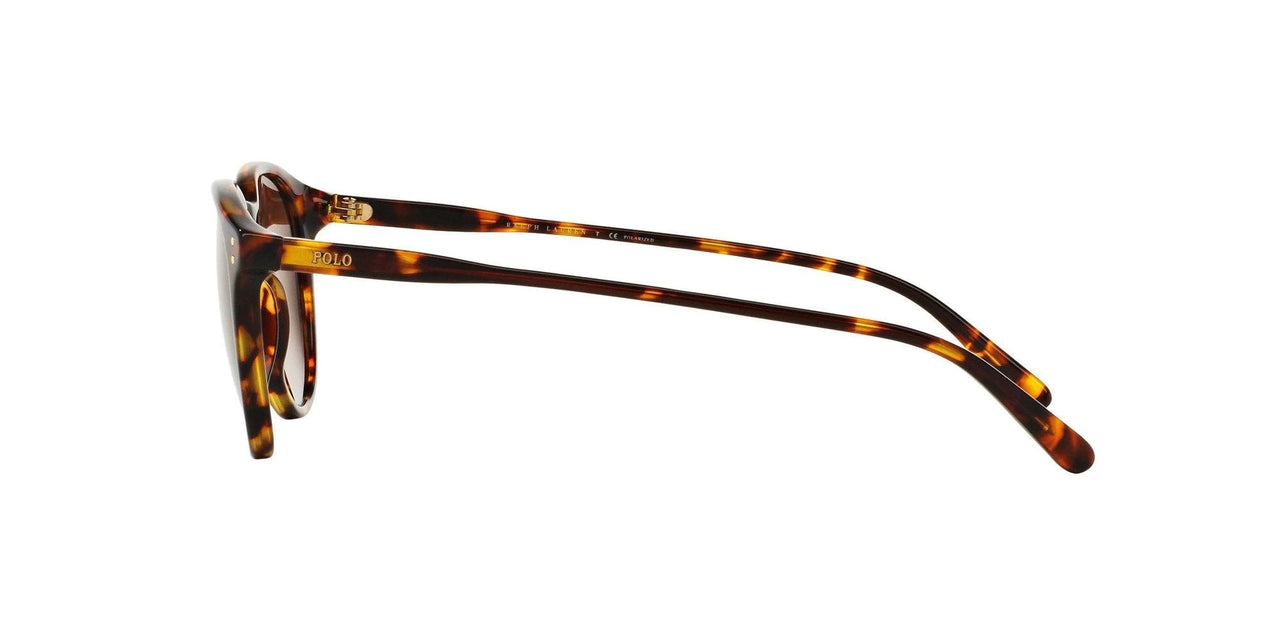 Polo Ralph Lauren Sunglasses PH4110 500772