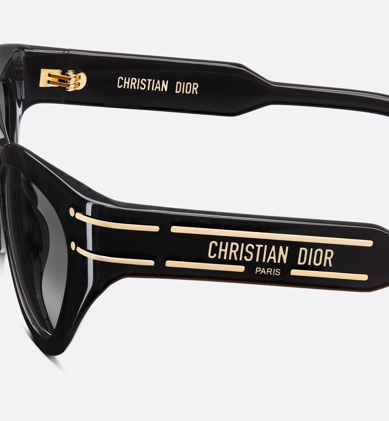 Dior DiorSignature B7i Black Butterfly Sunglasses - Women