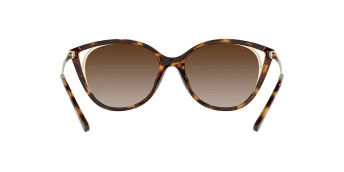 Sunglasses Michael Kors Alexandria MK2152U 300613