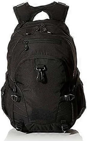 High Sierra Loop-Backpack School Travel or Work Bookbag with tablet-sleeve Shine ...