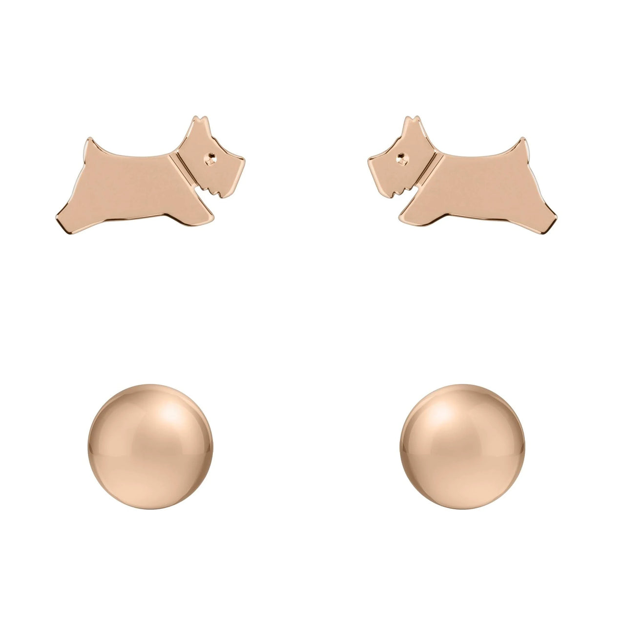 Radley Women's Etched Stud Earrings