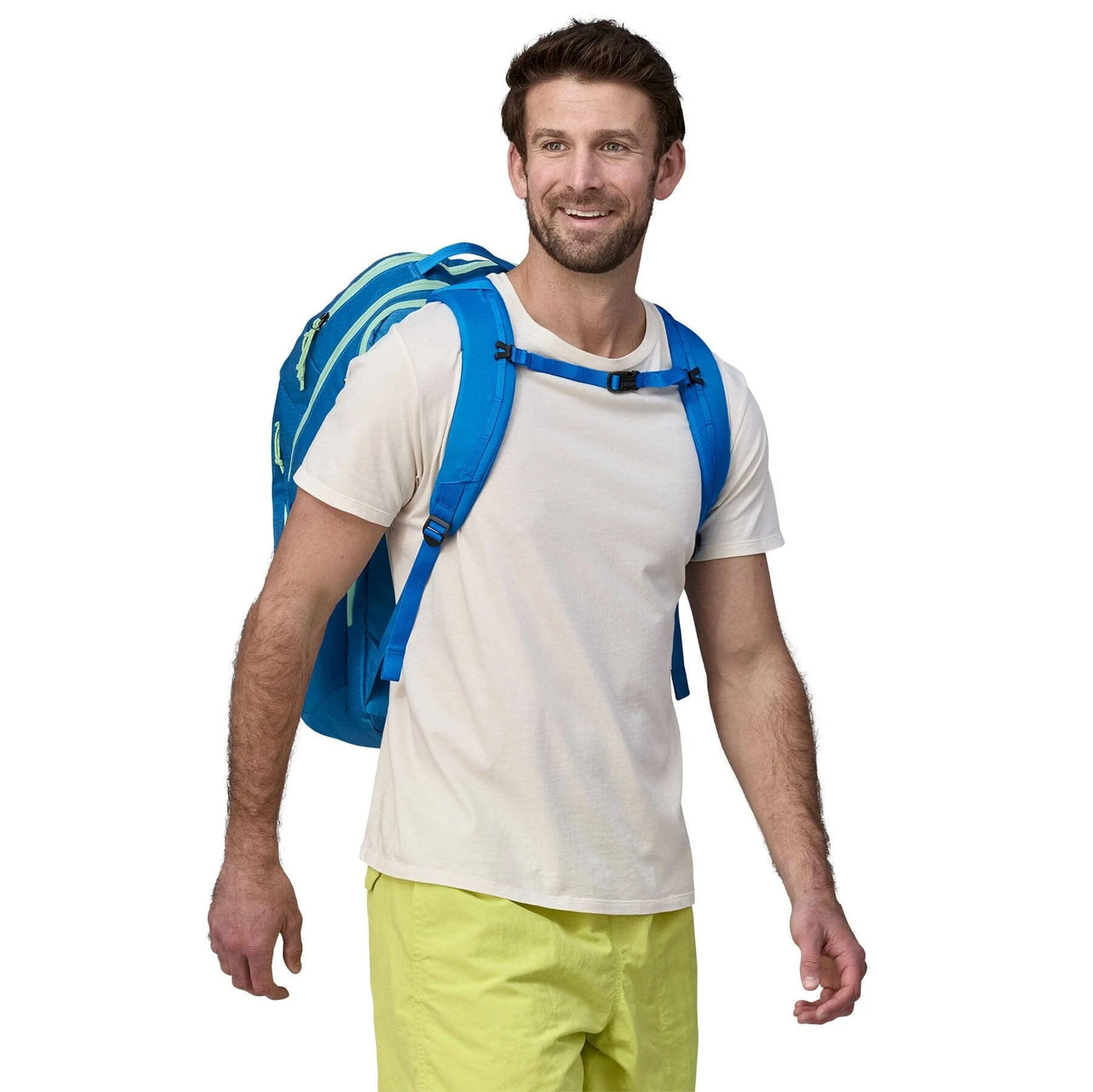 Patagonia Backpack Black Hole Pack 32L (black)