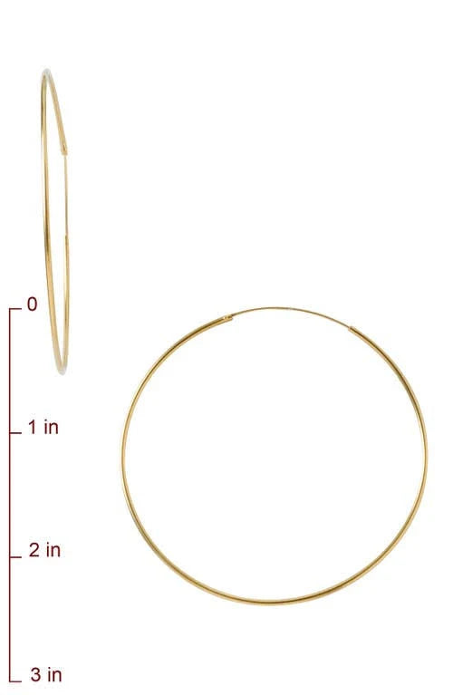 Argento Vivo Endless Hoop Earrings